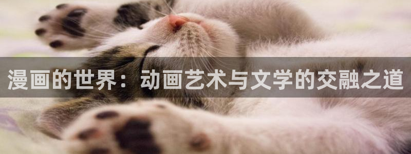 香蕉漫画网站在线观看